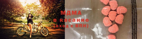 прущие грибы Кулебаки