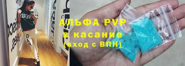 прущие грибы Кулебаки