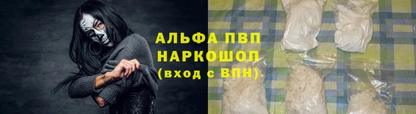 прущие грибы Кулебаки