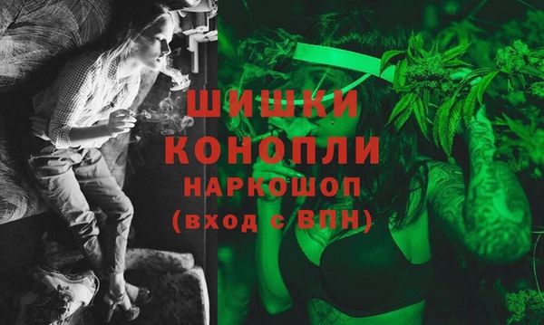 прущие грибы Кулебаки
