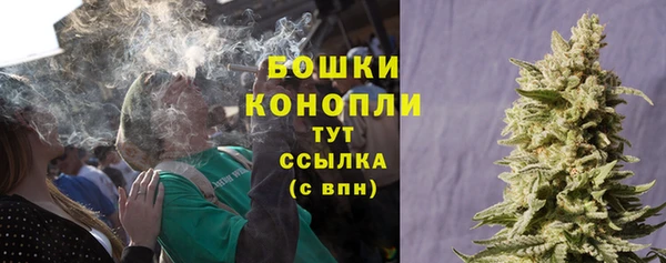 прущие грибы Кулебаки